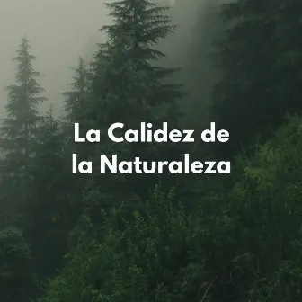 La Calidez De La Naturaleza by Música de la naturaleza Canciones de la naturaleza