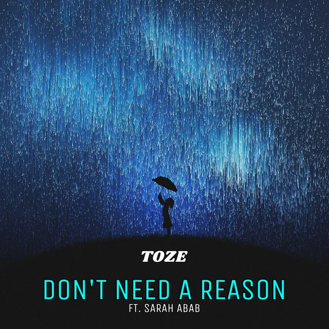 Don't Need a Reason (Toze Remix)