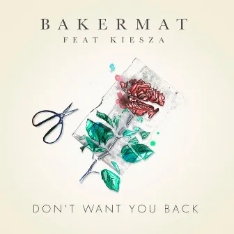 Don't Want You Back (feat. Kiesza) by Bakermat