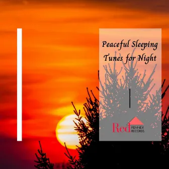 Peaceful Sleeping Tunes For Night by Robin Hayes