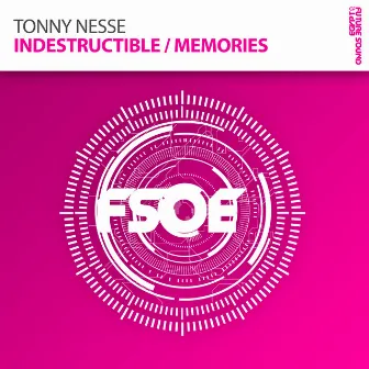 Indestructible / Memories by Tonny Nesse