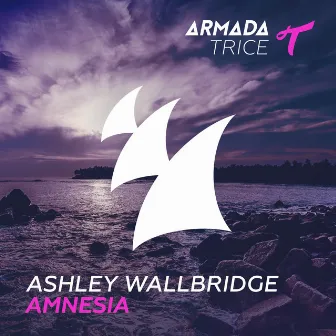 Amnesia by Ashley Wallbridge