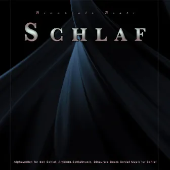 Binaurale Beats Schlaf: Alphawellen für den Schlaf, Ambient-Schlafmusik, Binaurale Beats Schlaf Musik für Schlaf by Binaurale Beats Schlafen