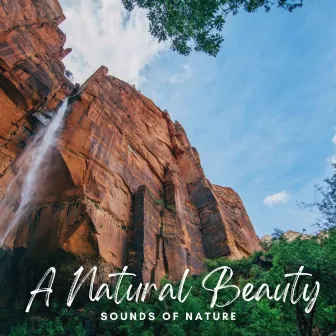 Sounds of Nature: A Natural Beauty by Relax in Nature