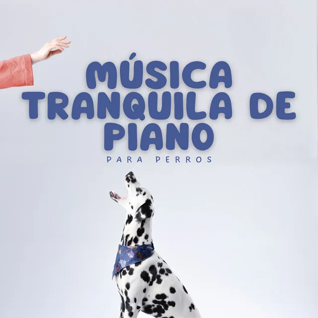 Jazz para perros