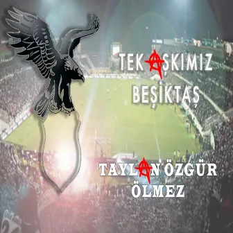 Tek Aşkımız Beşiktaş by Taylan Özgür Ölmez