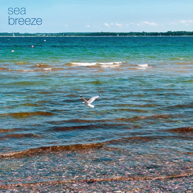 Sea Breeze