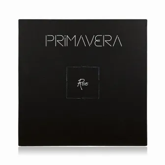 Primavera by Roses