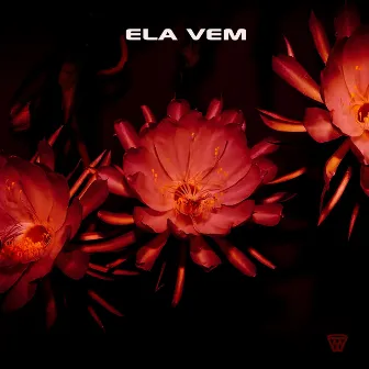 ELA VEM by Rodrigo Lorio