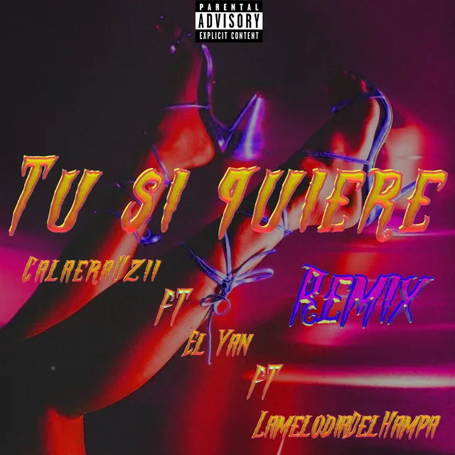 Tu Si Quiere - Remix