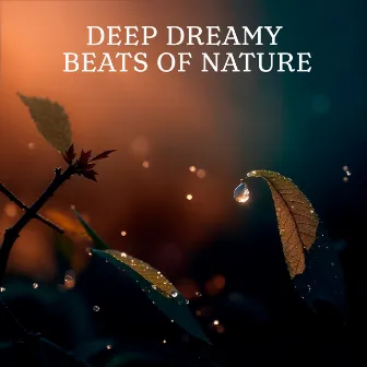 Deep Dreamy Beats Of Nature: Slow Healthy Melodies For Peaceful People And Open Minds by A Little Hope