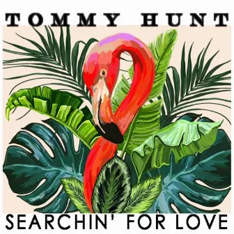 Searchin' for Love by Tommy Hunt