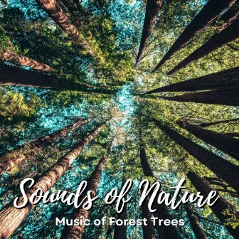 Sounds of Nature: Music of Forest Trees by The Earth Song