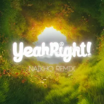 Hurt (Naikho Remix) by YeahRight!