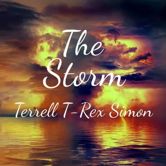 The Storm by Terrell 