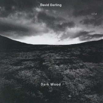 Dark Wood by David Darling