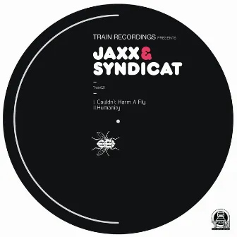 Couldn't Harm a Fly / Humanity by Syndicat