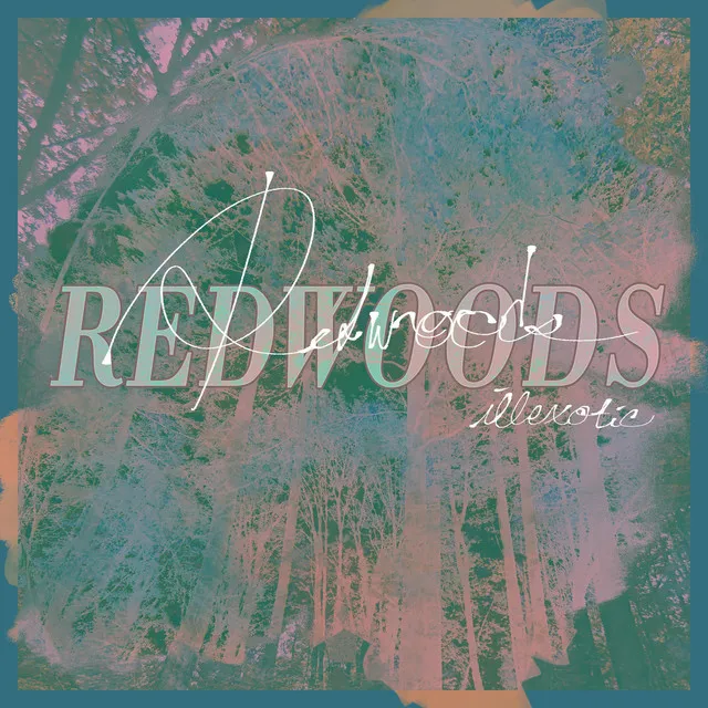 Redwoods