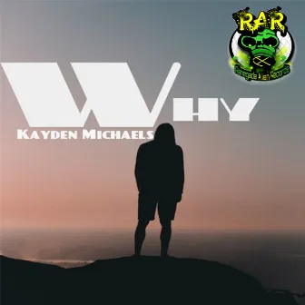 Why by Kayden Michaels