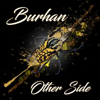 Other Side by Burhan