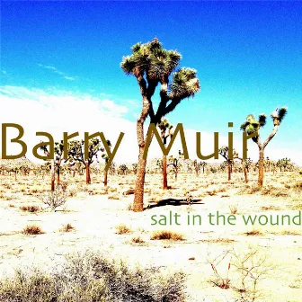 Salt in the Wound by Barry Muir