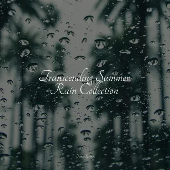 Transcending Summer Rain Collection by Sleep Waves