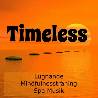 Timeless - Lugnande Mindfulnessträning Spa Musik för Andlig Healing Chakra Rensning Minska Ångest med Lugn Sömncykel Instrumental Ljud by Unknown Artist