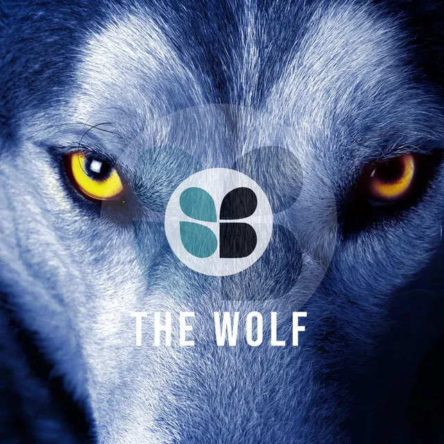 The Wolf - Rework