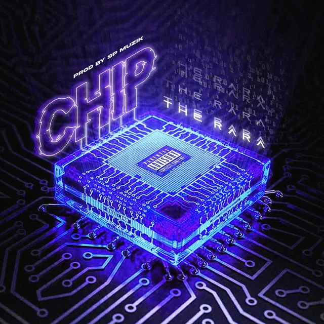 Chip