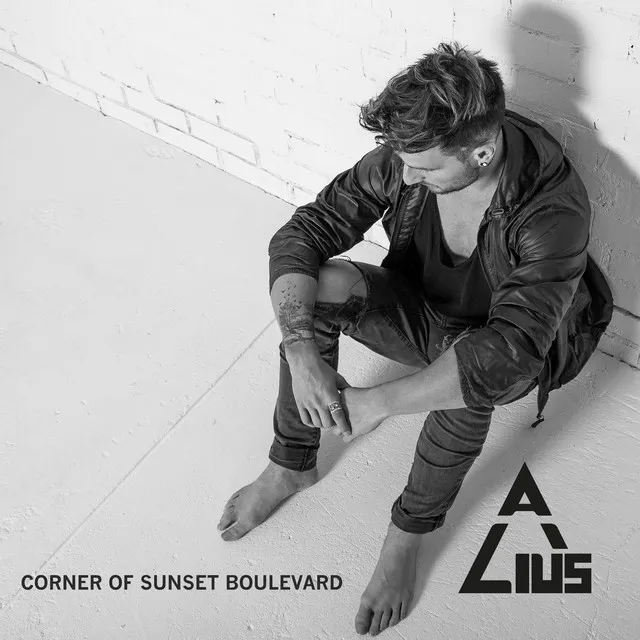 Corner of Sunset Boulevard - Wippy Lion Remix