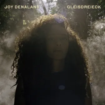 Gleisdreieck (Deluxe Edition) by Joy Denalane