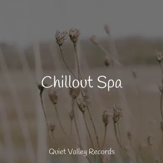 Chillout Spa by Sleep Recording Sounds