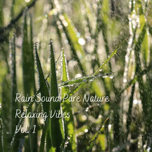 Rain Sound Pure Nature Relaxing Vibes Vol. 1