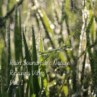 Rain Sound Pure Nature Relaxing Vibes Vol. 1 by Natural Woodland Sounds