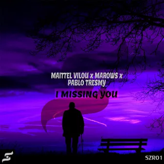 I Missing You by Maittel Vilou