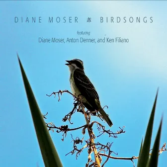 Birdsongs by Ken Filiano