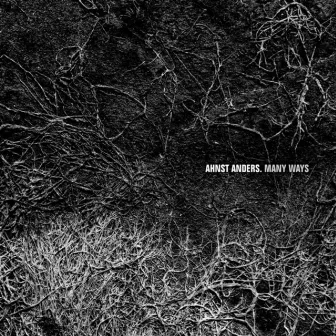 Many Ways by Ahnst Anders