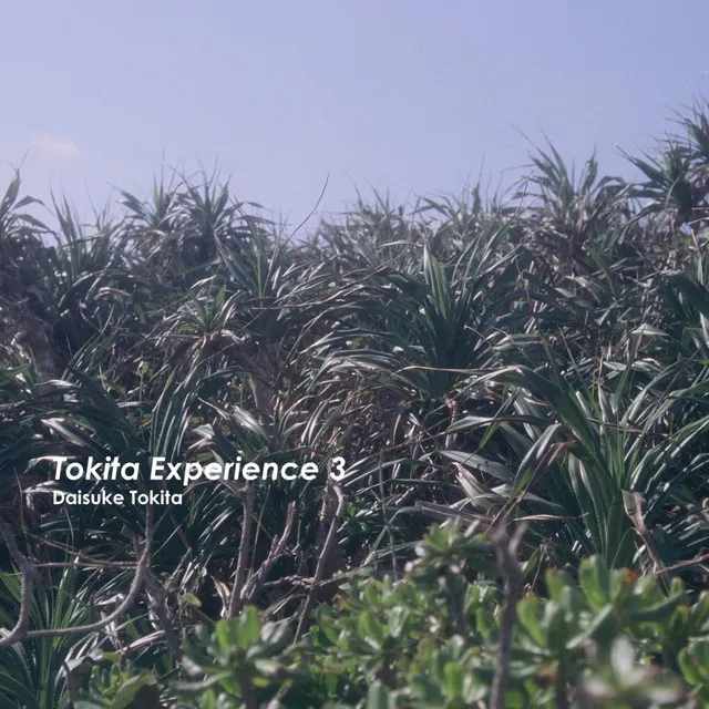 Tokita Experience 3