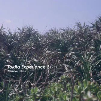 Tokita Experience 3 by Daisuke Tokita