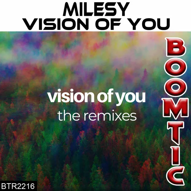 Vision Of You - Ricardo Elgardo Remix