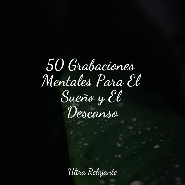 50 Grabaciones Mentales Para El Sueño y El Descanso