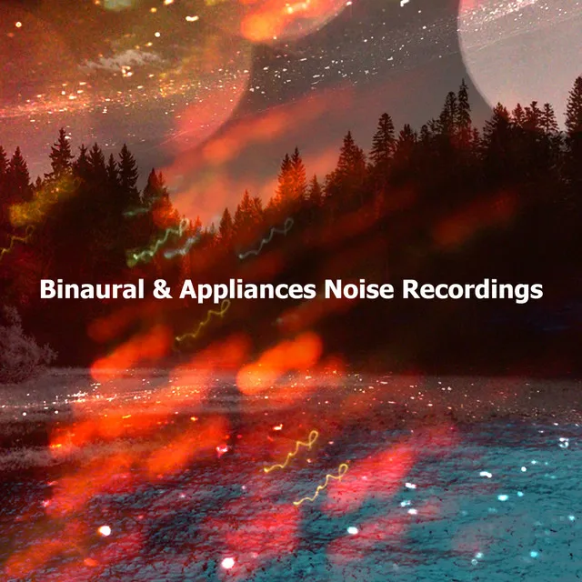 Binaural & Appliances Noise Recordings