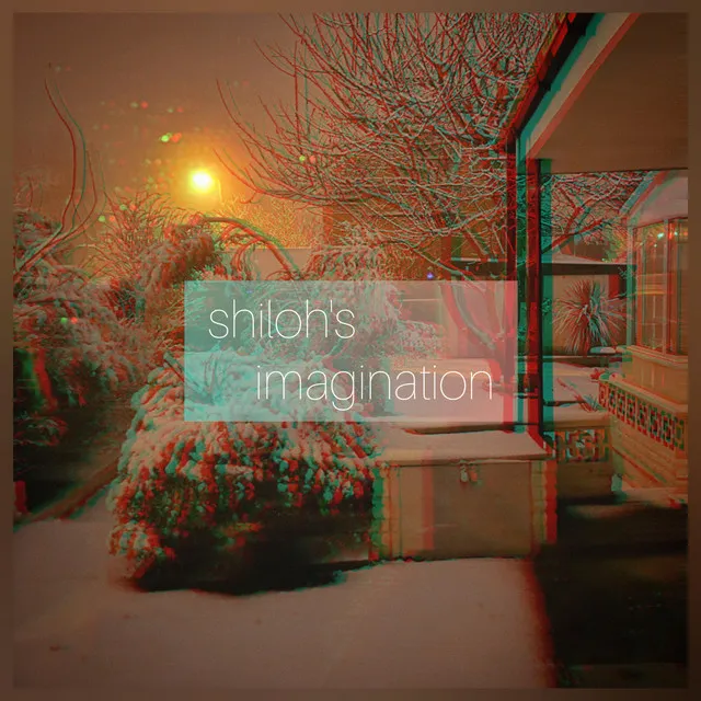 shiloh's imagination