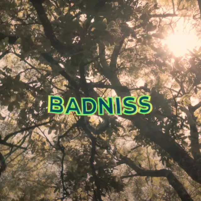 BADNISS