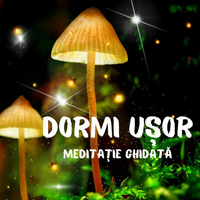 Vise plăcute-meditație ghidată