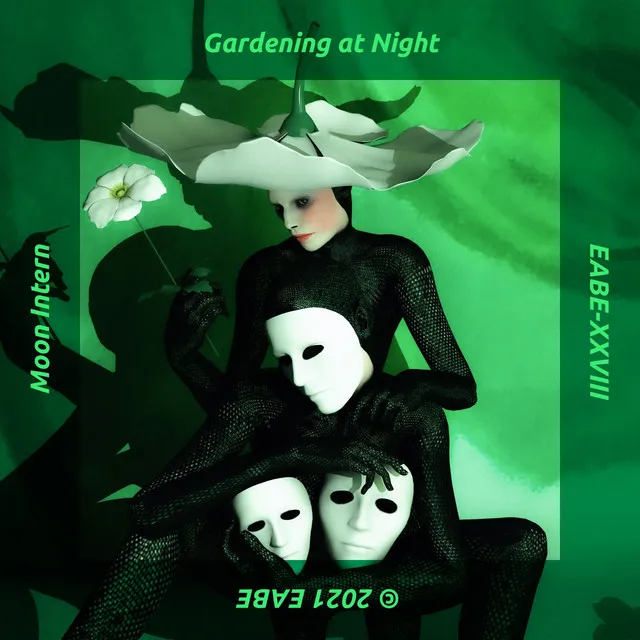 Gardening at Night