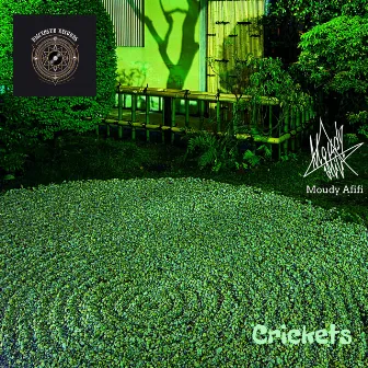 Crickets by Moudy Afifi