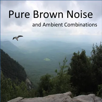 Pure Brown Noise and Ambient Combinations, including Clothes Dryers, Waterfalls, Crickets (Loopable Audio for Insomnia, Meditation, and Restless Children) by Meditation Noise