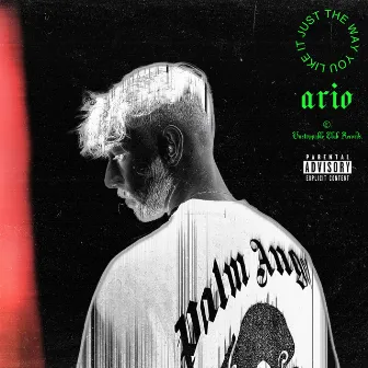 Just the Way You Like It by Ario