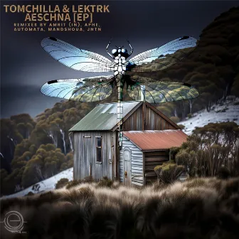 Del Fear (APHE Remix) by Tomchilla